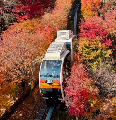 11월 국내여행지 추천 BEST 10