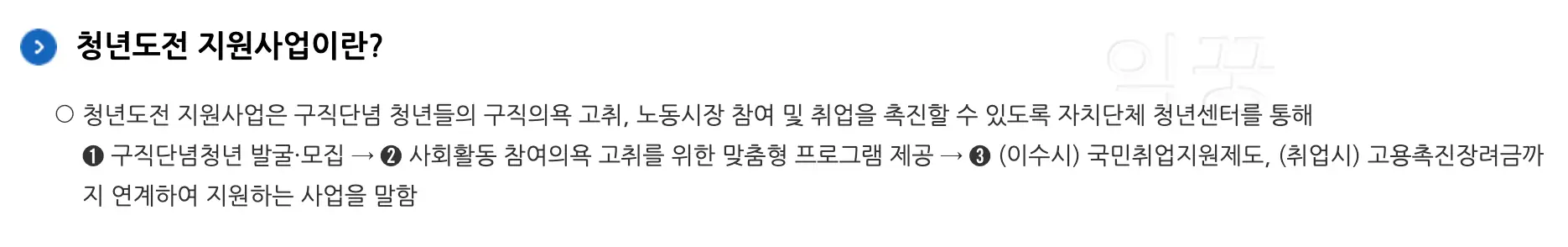 청년도전지원사업이란
