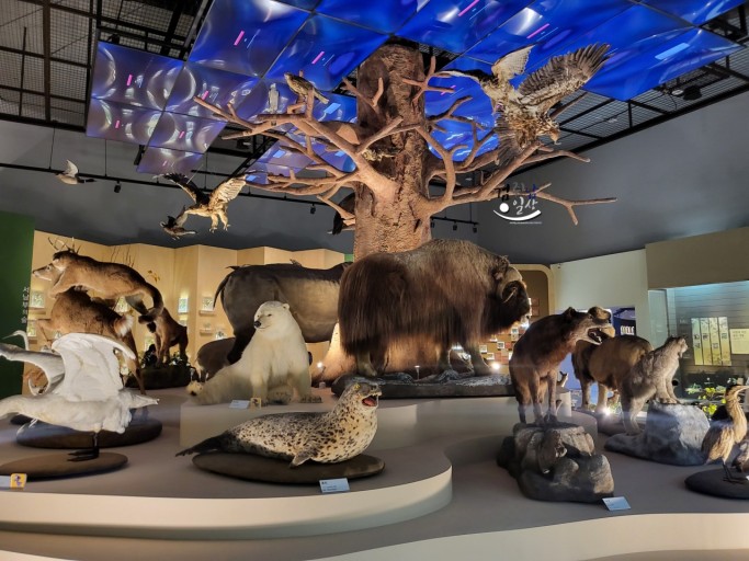 목포 자연사박물관