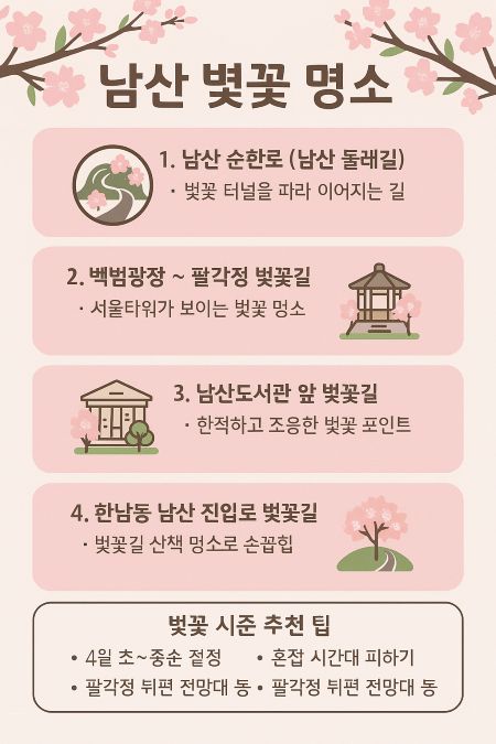 남산 벚꽃 명소를 소개하는 인포그래픽 이미지로, 남산 순환로, 백범광장, 남산도서관, 한남동 진입로 등 주요 벚꽃길과 벚꽃 시즌 추천 팁이 정리되어 있음