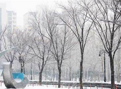 안양&middot;군포 반려견 산책 어디가 좋을까? 겨울에도 걷기 좋은 명소 추천