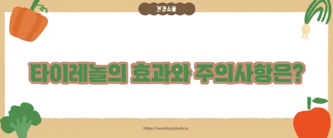 타이레놀 효능 (+주의사항 포함)