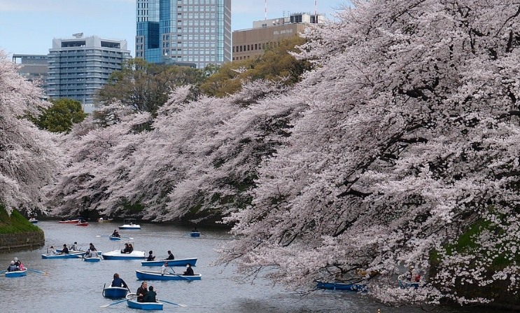 도쿄의 아름다운 공원