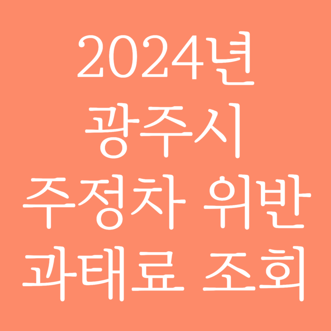 2024년 광주시 주정차 위반 과태료 조회하기