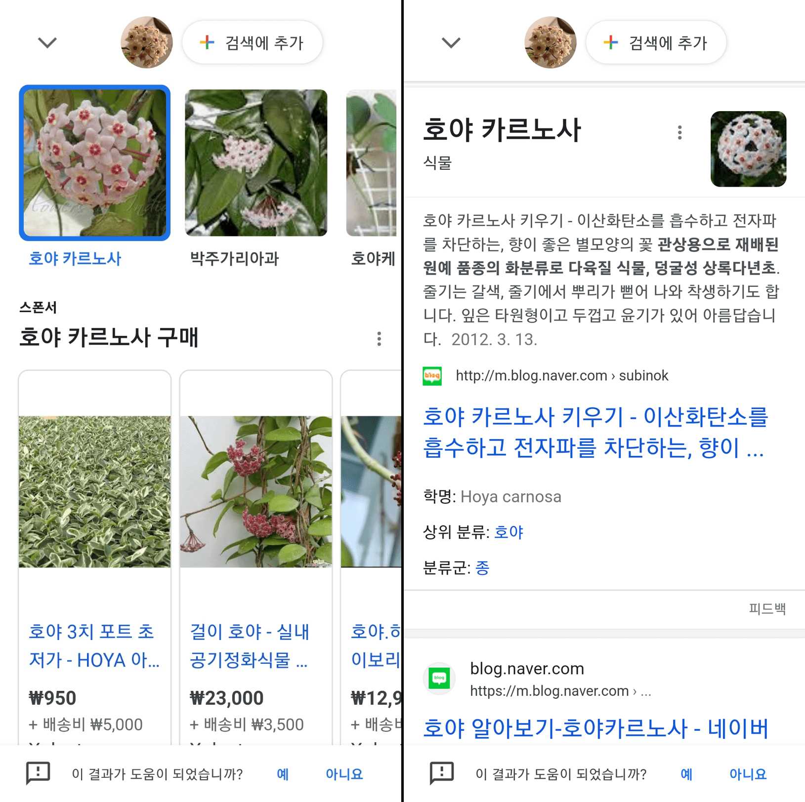 사진으로 꽃이름 찾기 결과