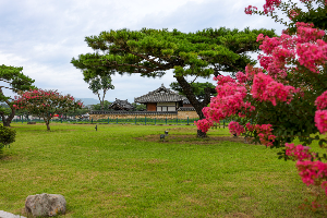 경주 가볼만한 곳 첨성대