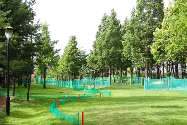 경기도 용인 수지 아르피아파크골프장 소개 (죽전파크골프장)