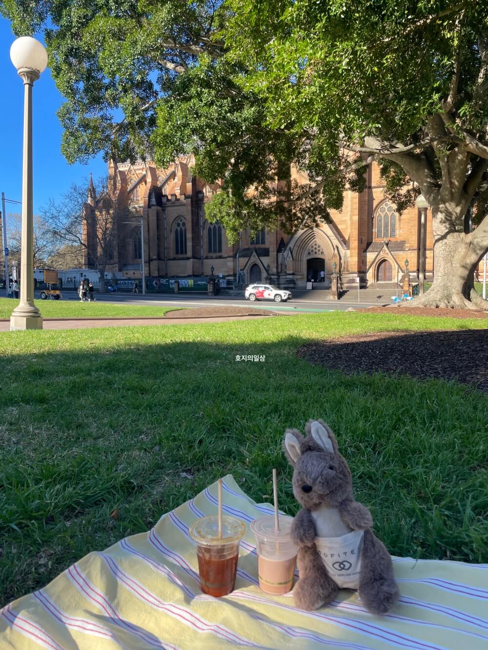 시드니 카페 파라마운트 커피&하이드 파크 피크닉