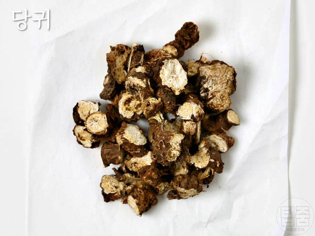 갱년기에 좋은 약초 참당귀 부인병에 좋은 약초