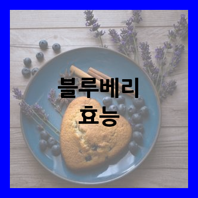 블루베리 효능
