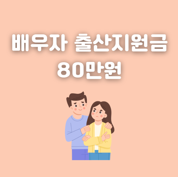 서울시 배우자 출산지원금 80만원