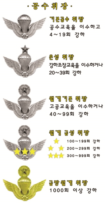 공수 휘장