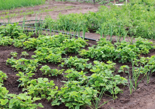 국토부-지적도-무료-열람