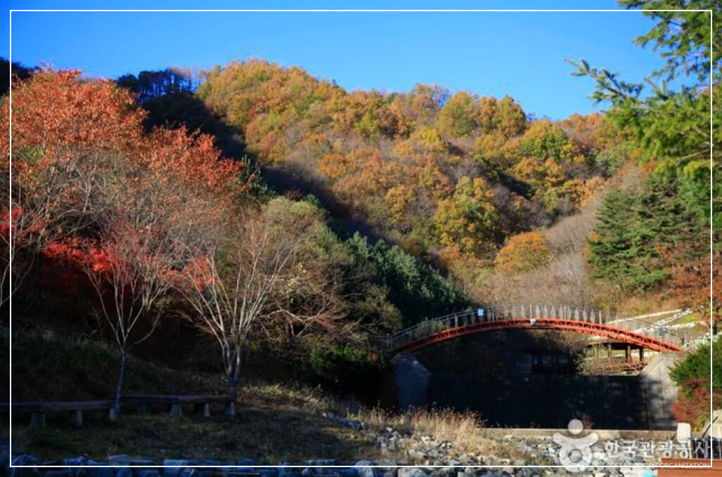의성 가볼만한곳 베스트10 금봉자연휴양림