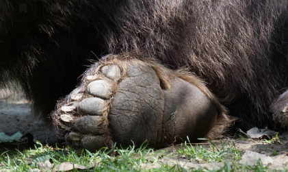 보습제 고르는 기준 관련 사진