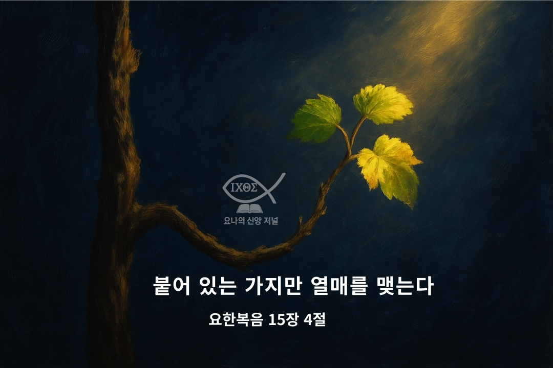 구원의 확증은 어떻게 나타나는가는 포도나무에 붙어 있는 가지만이 열매를 맺는 비유를 통해 그리스도와 연합된 성도의 삶을 나타낸다 요나의 신앙 저널