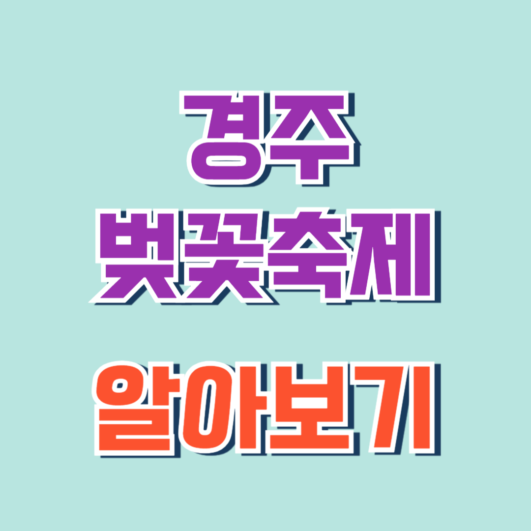 경주 벚꽃축제
