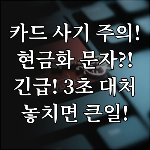 카드 포인트 현금화 문자 사기 피해 ..