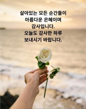 절대적 감사