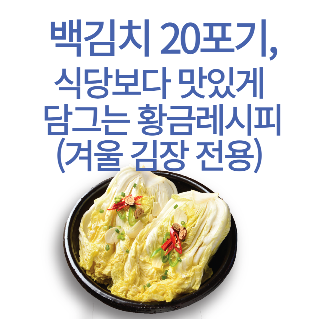 백김치 20포기, 식당보다 맛있게 담그는 황금레시피 (겨울 김장 전용)