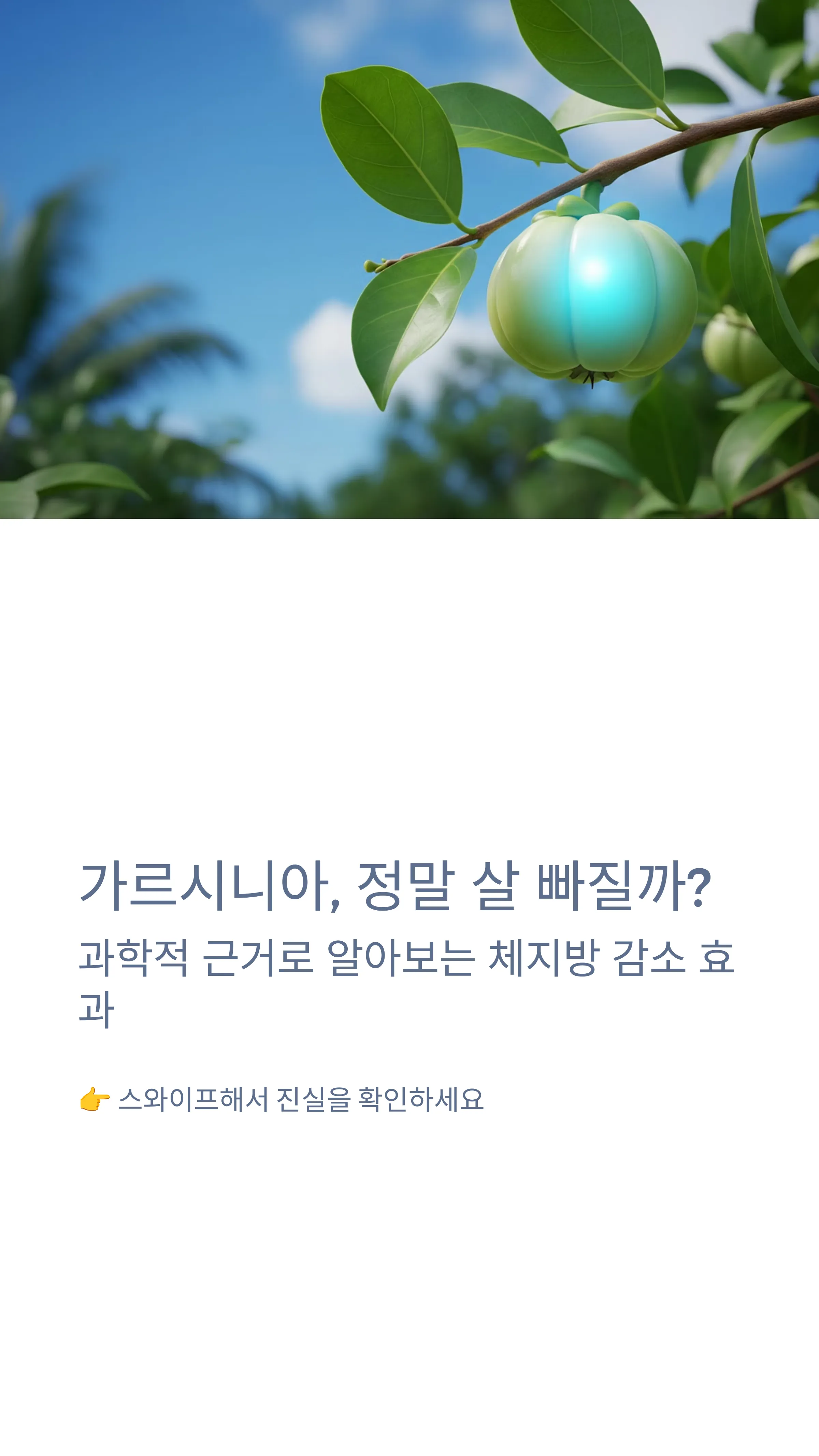 가르시니아