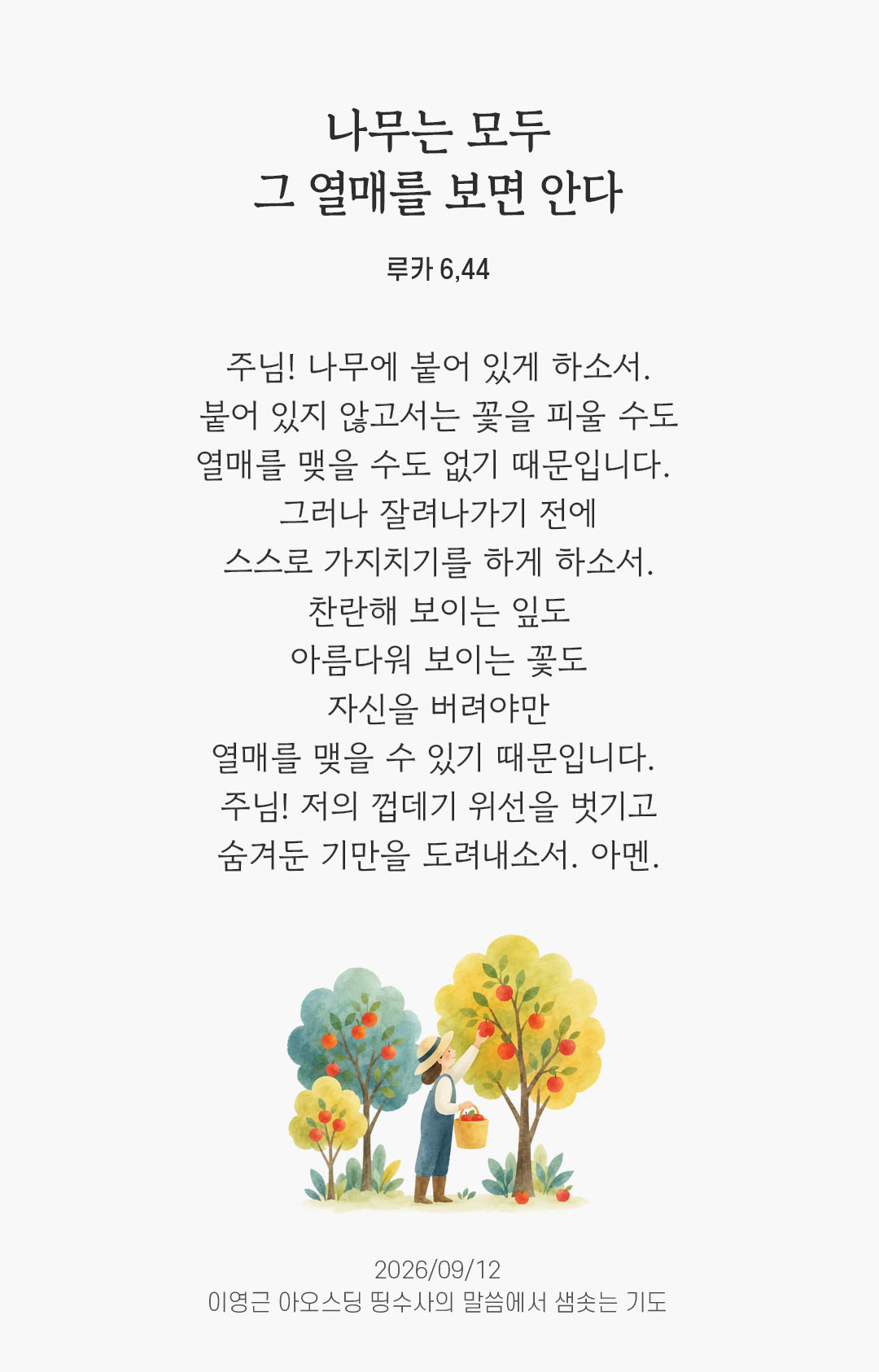 렉시오 디비나 말샘기도 루카복음 6장 44절 기도 이미지