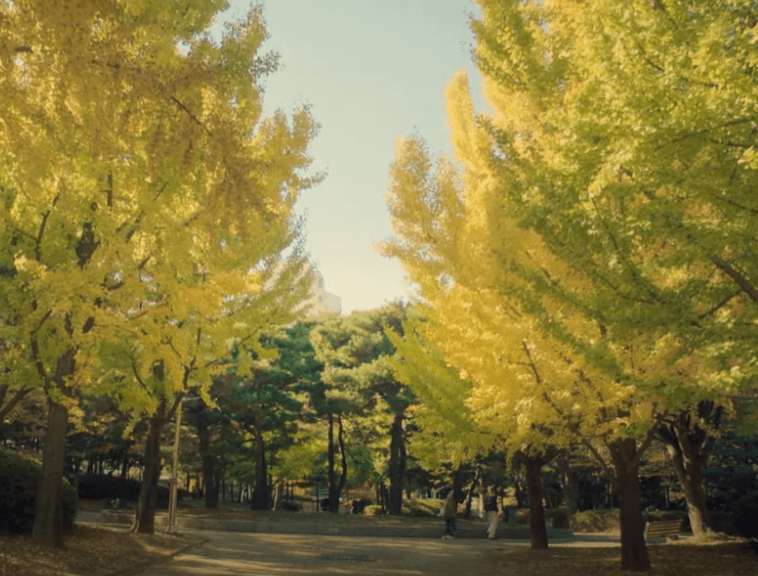 첫 방송 정보