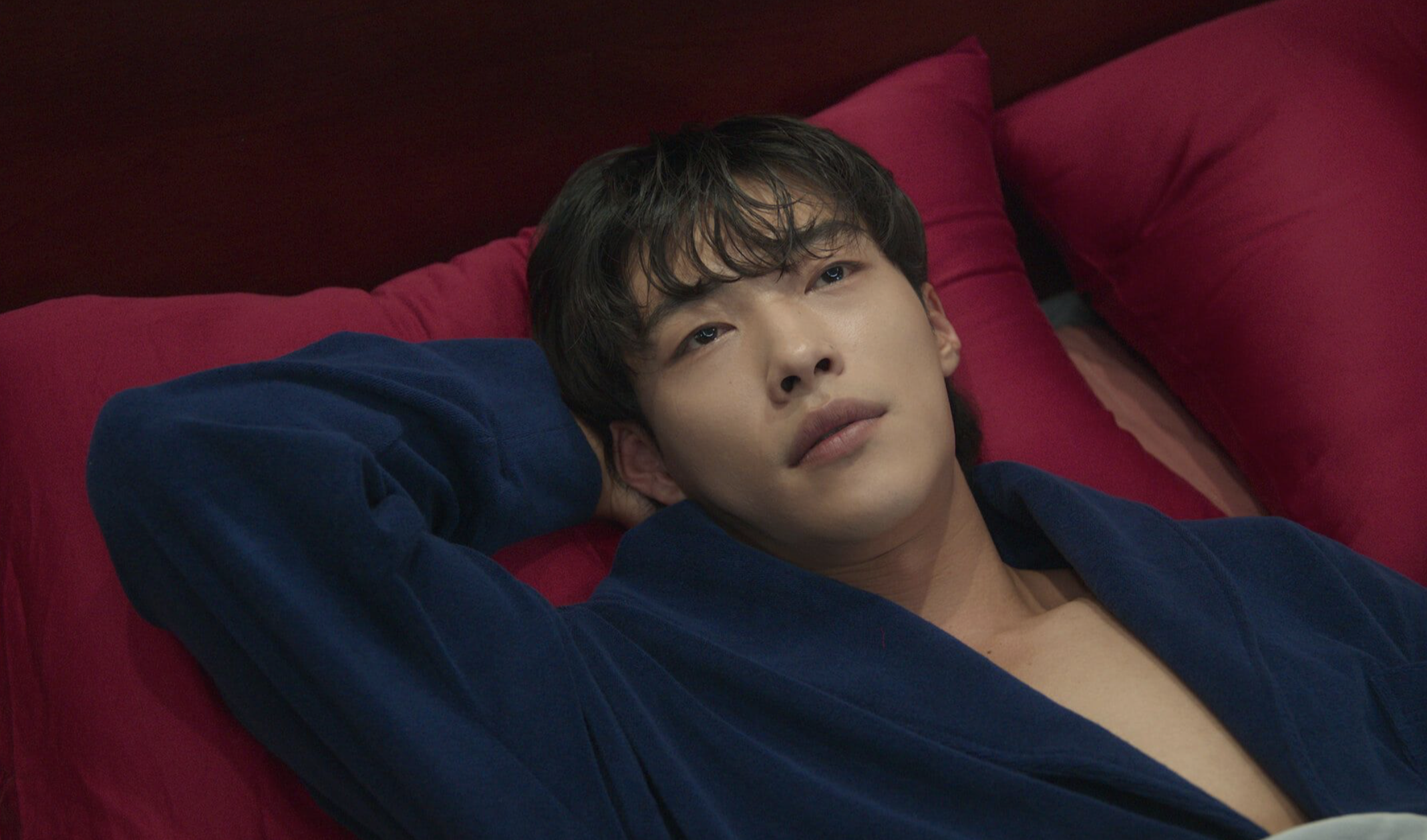 미스터 플랑크톤 뜻 의미 해석