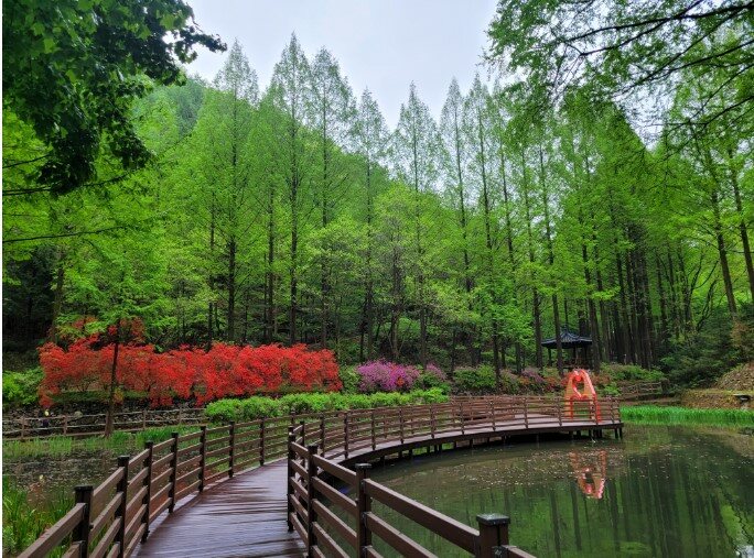 장태산 자연휴양림 예약 