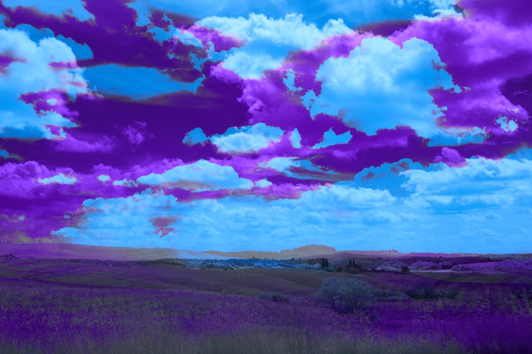 Dream Interpretation