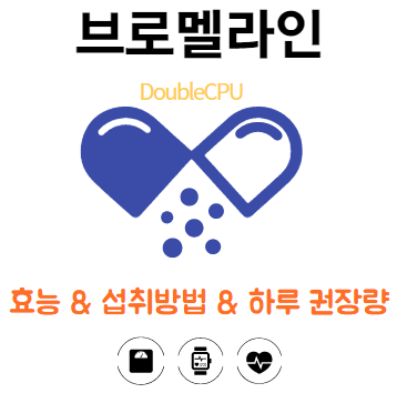 브로멜라인 효능