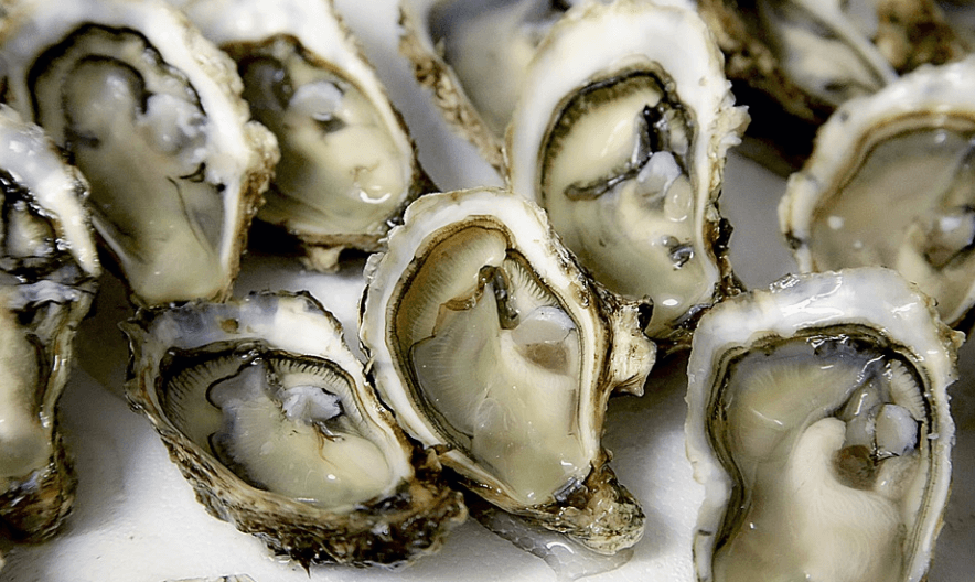 네 번째 술안주로 좋은 음식 생굴