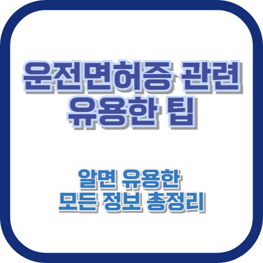 운전면허증 관련 유용한 팁: 알면 유용한 모든 정보 총정리