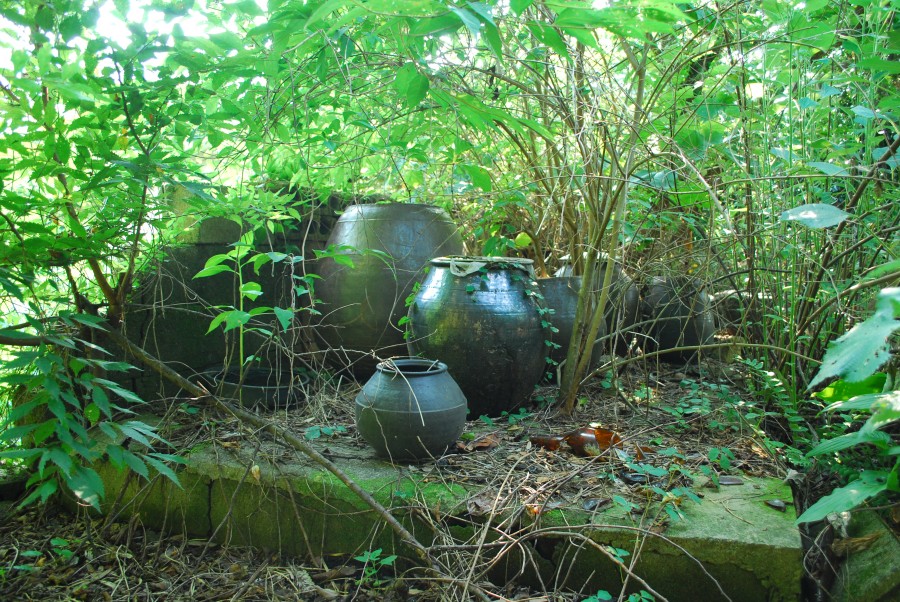 장흥군 대덕읍 분토리