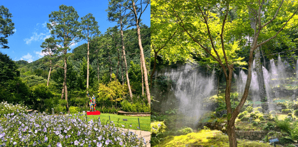 단풍여행 단풍트레킹 당일버스 여행