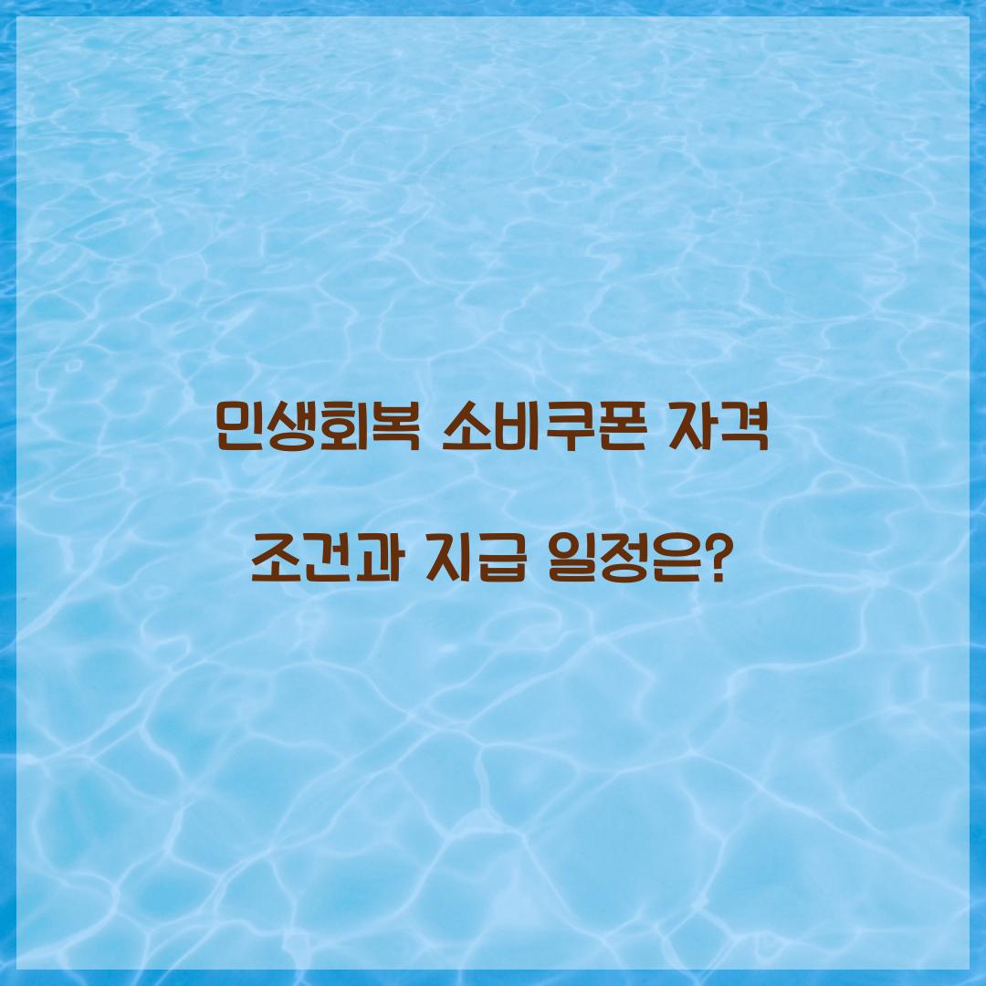 민생회복 소비쿠폰