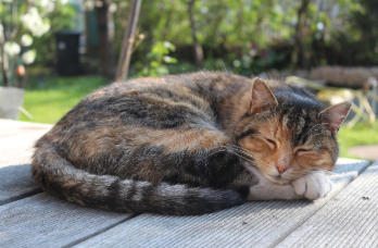 롯데 이노베이트 신입 연봉 2025 2