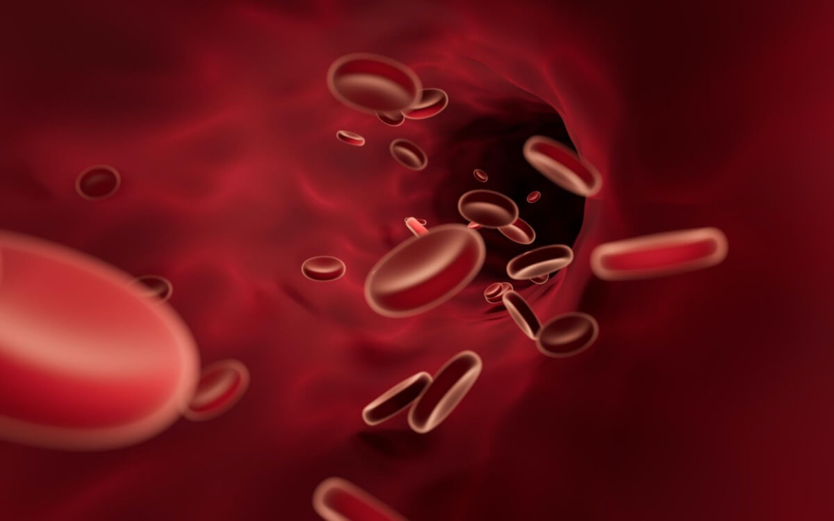 혈액-속-존재하는-적혈구