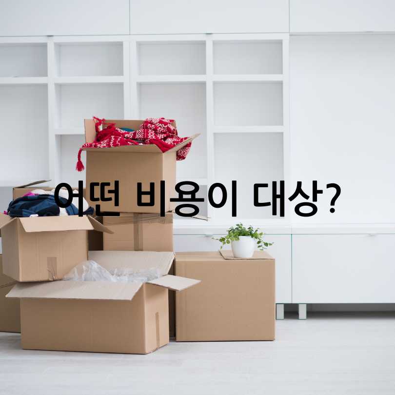서울시 청년 이사비 지원