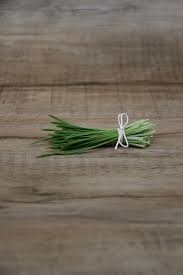 자라난 새싹보리 