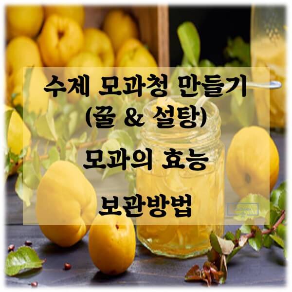 수제-모과청-만들기