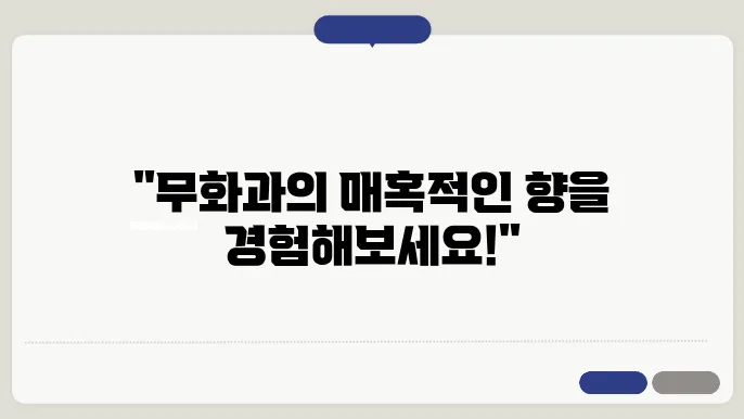 조말론 무화과와 과일 향기