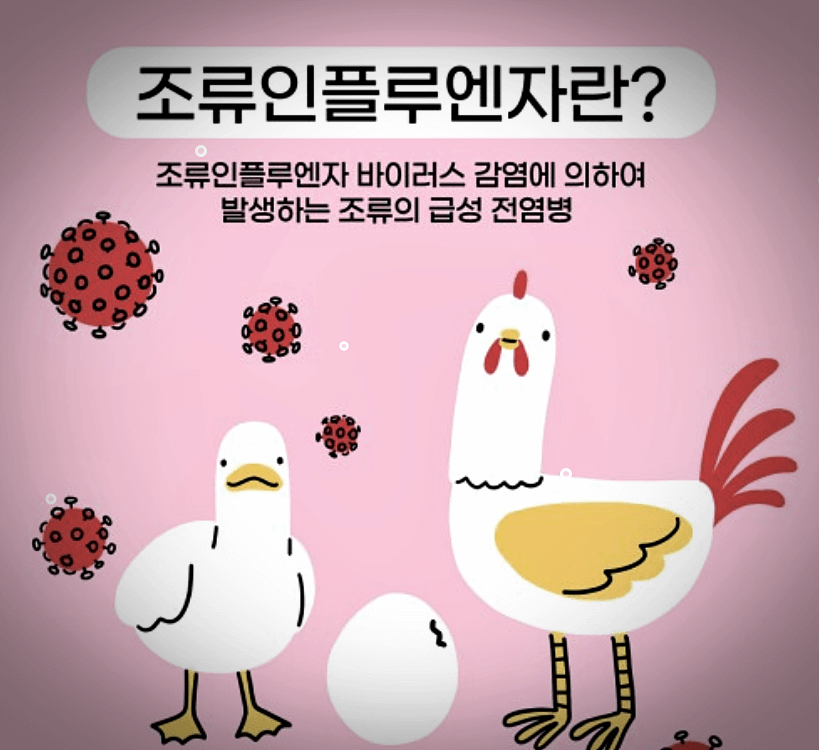 조류인플루엔자