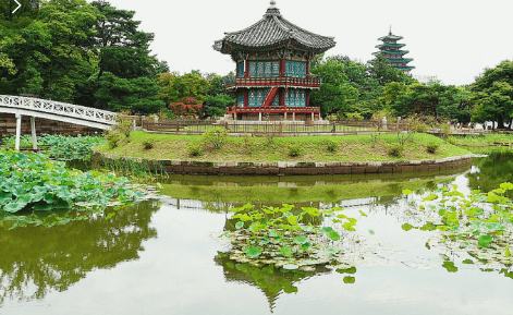 경복궁달빛야행 행사정보유의사항