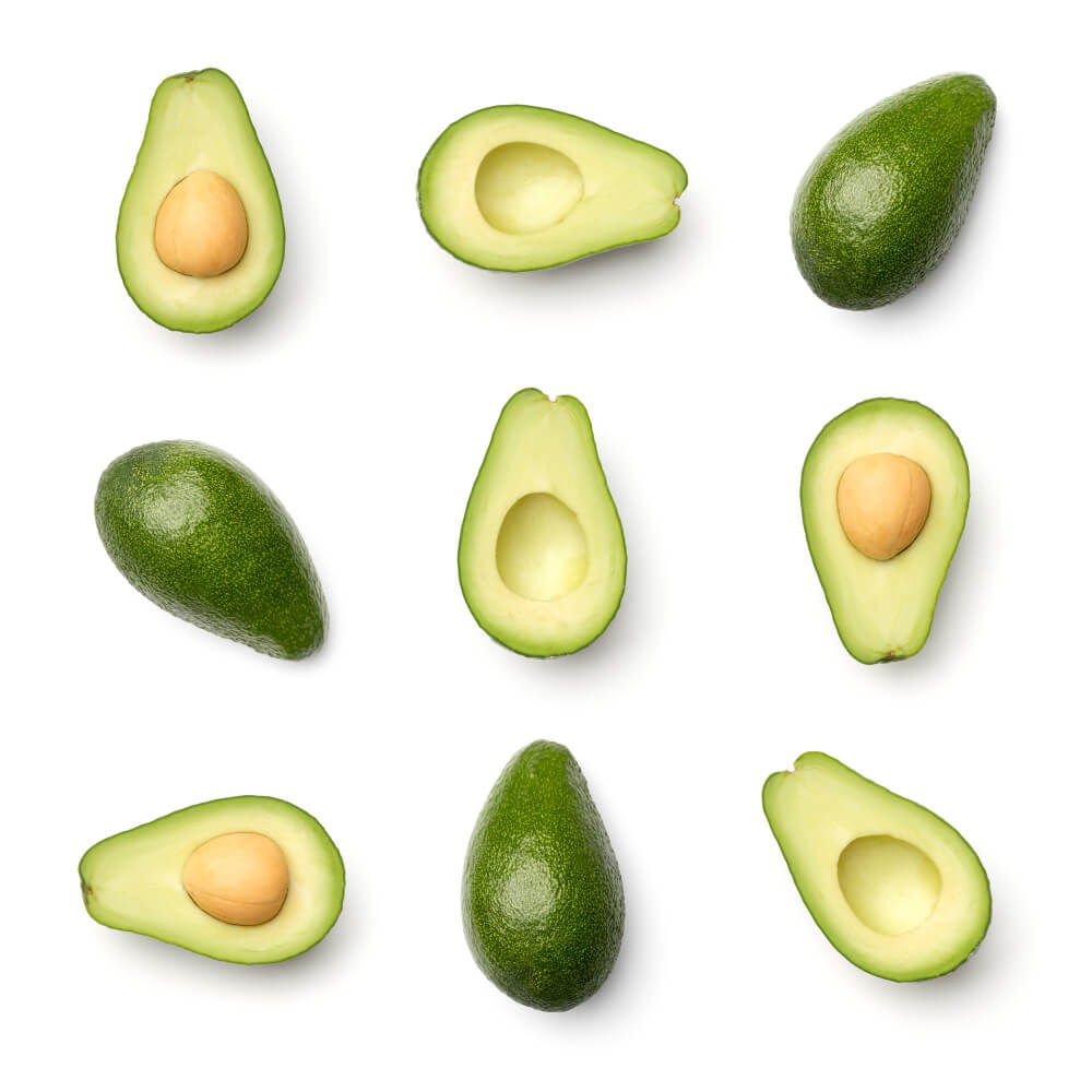 쉐퍼드 품종 아보카도