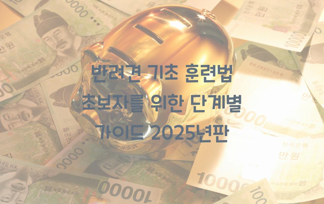 반려견 기초 훈련법, 초보자도 가능한 단계별 가이드