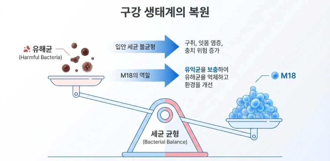 구강유산균-사진2