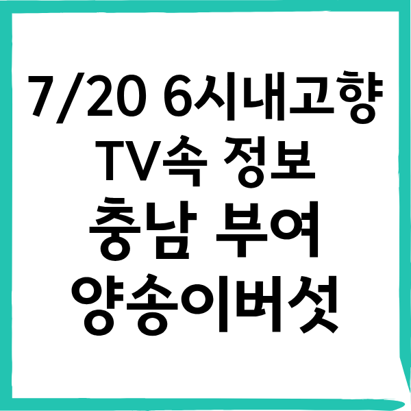 6시 내고향 부여 양송이버섯 동경양송이 스토어 및 놀라운 효능 4가지