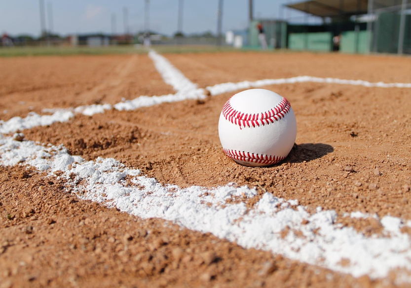 야구장 야구공