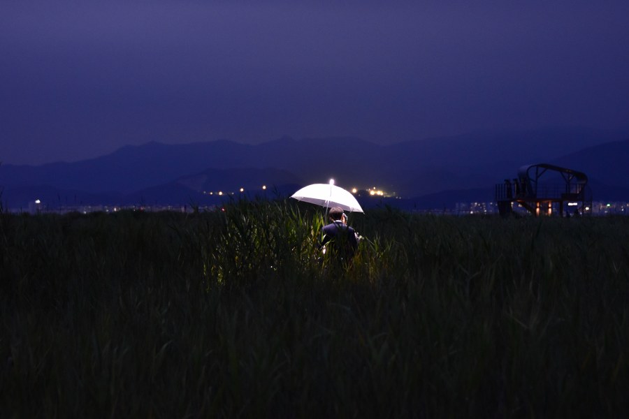 다대포 해수욕장에서 사진을 찍은 신혼 부부 웨딩 촬영